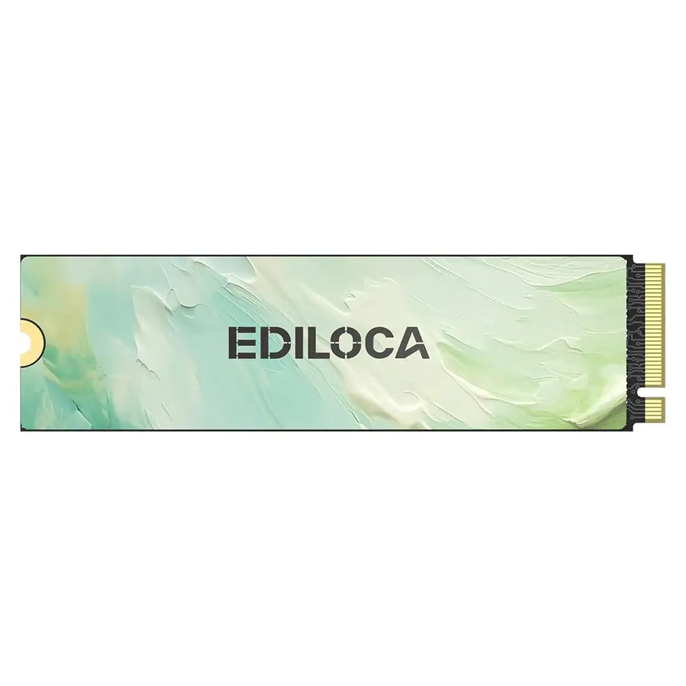 M.2 256GB NVMe Ediloca