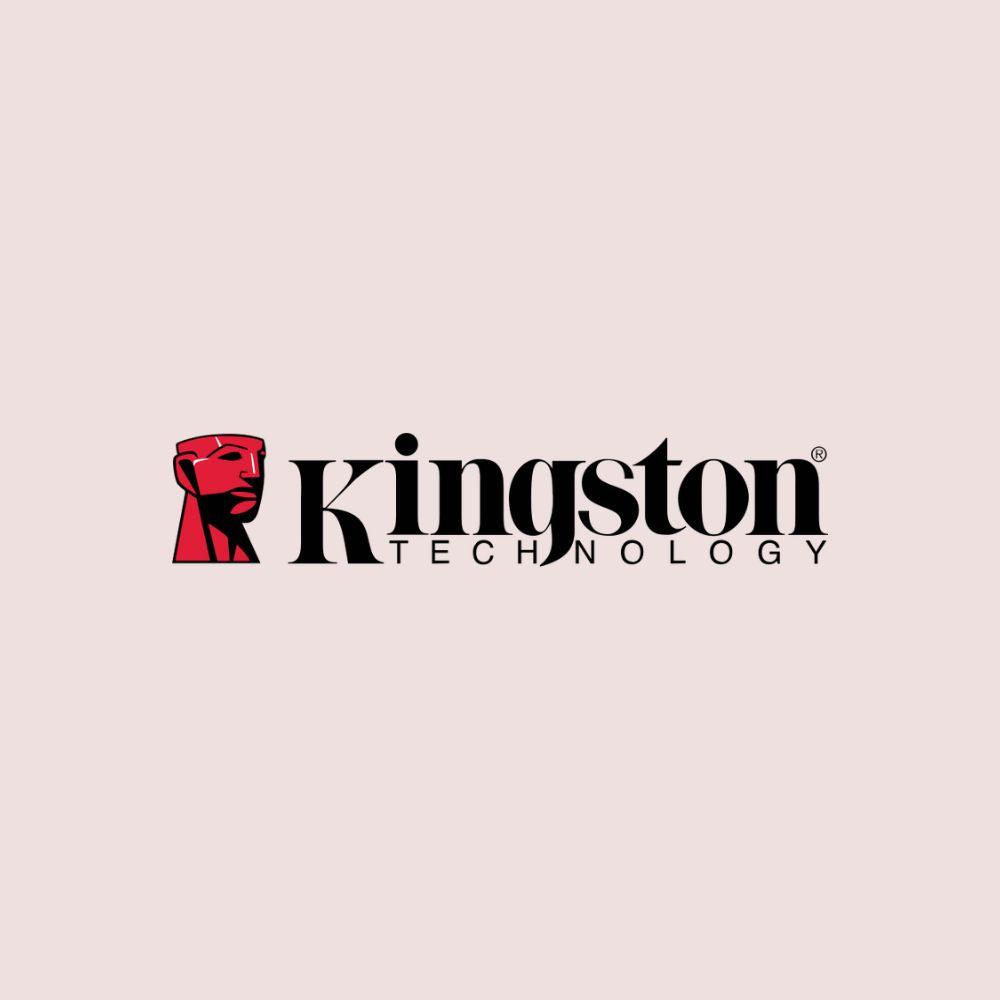 Kingston - Disco Solido