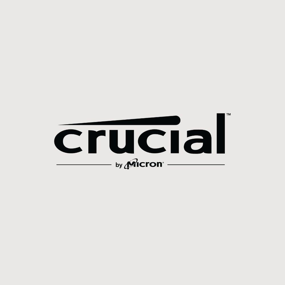 Crucial - Disco Solido