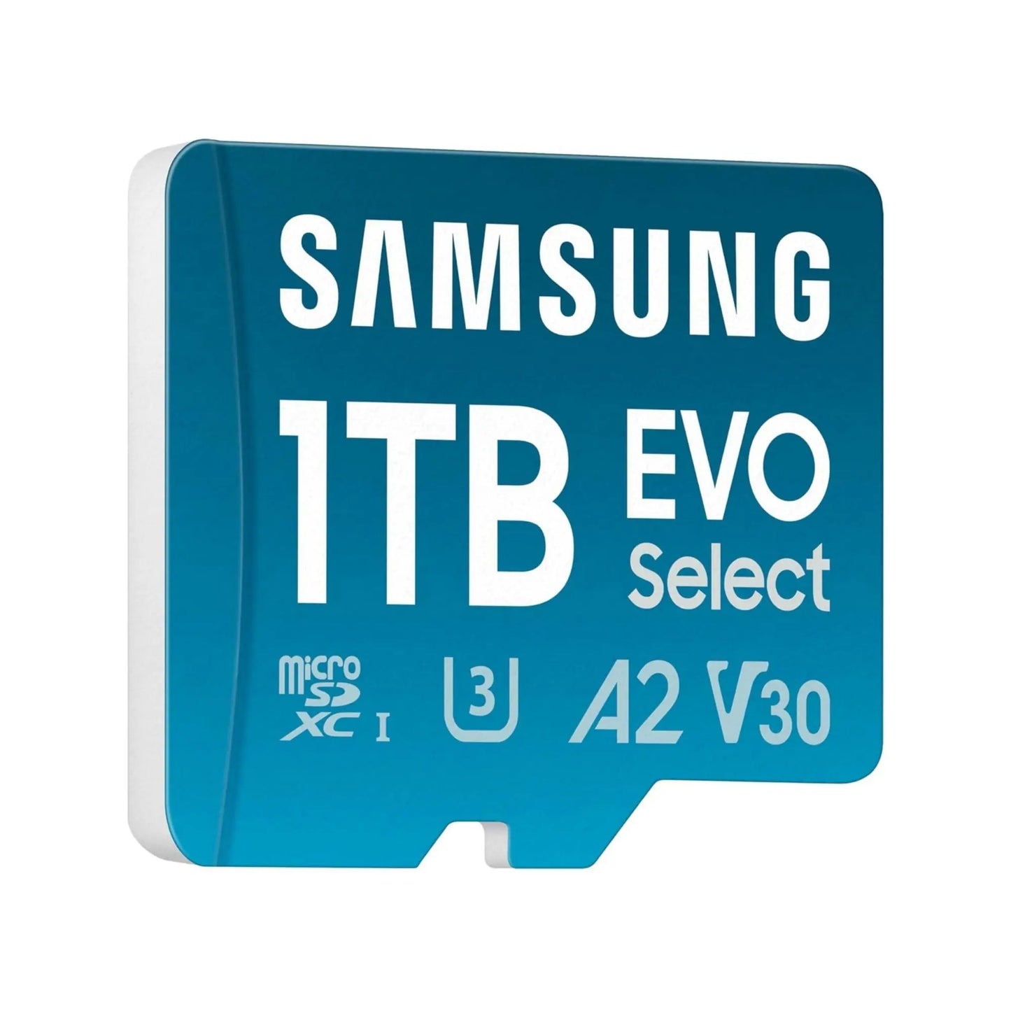 Micro SD 1TB Samsung EVO 4k