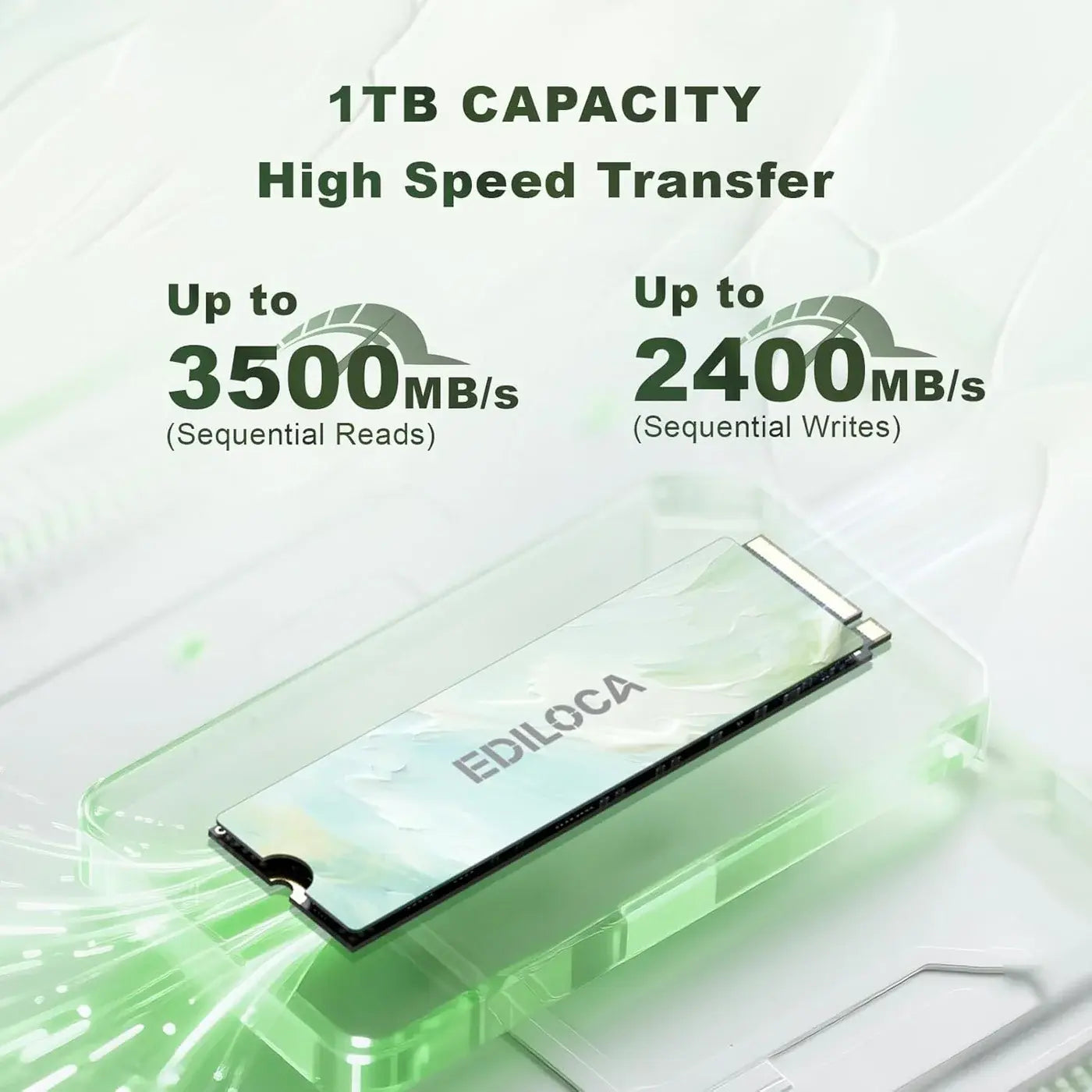 M.2 256GB NVMe Ediloca